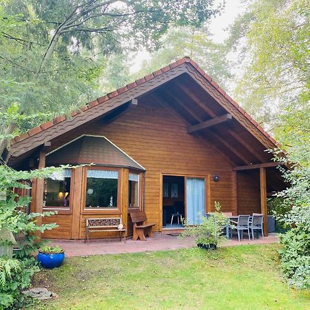 Ferienhaus Svenja, Wiefelstede-Lehe المظهر الخارجي الصورة